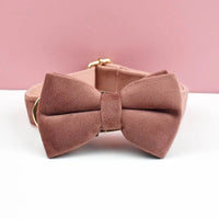 Bow Collar22