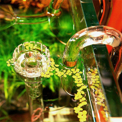 Clear Glass Lily Pipe Outflow and Skimmer Inflow With Suction Cup 13mm 17mm For Aquarium Planted Fish Tank Aquatic Filter System