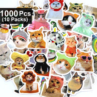 1000pcs(10 packs)