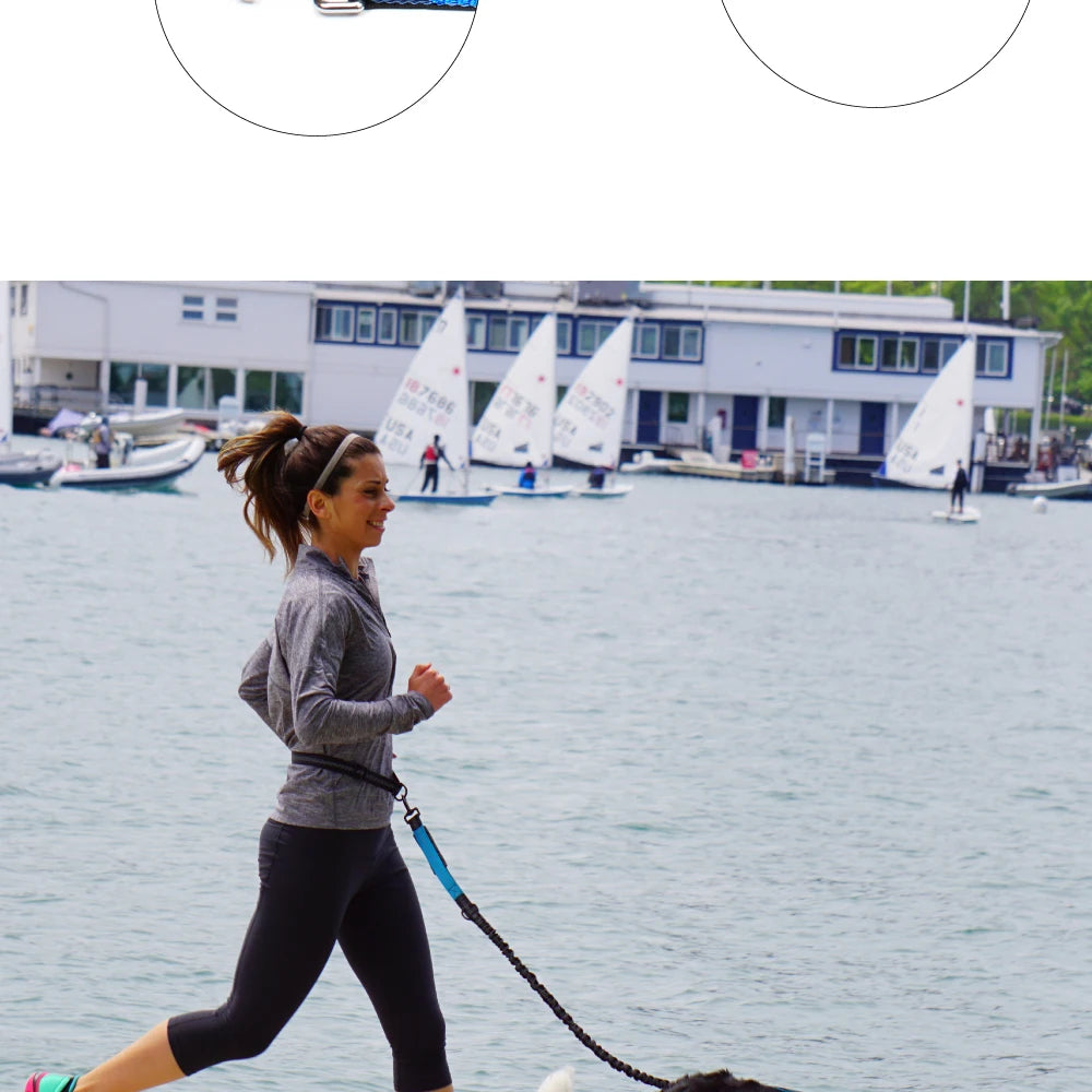 Hand Free Dog Leash for Pet Walking Running Jogging Adjustable Dog Leash Waist Belt Chest Strap Traction Rope Dog Accessories