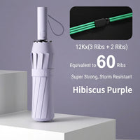 60Ribs Purple